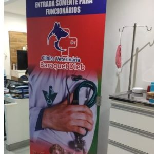 medico veterinario cirurgiao veterinario brasilia baraquet dieb2 300x300