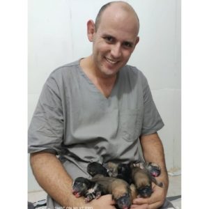 medico veterinario cirurgiao veterinario brasilia baraquet dieb3 300x300