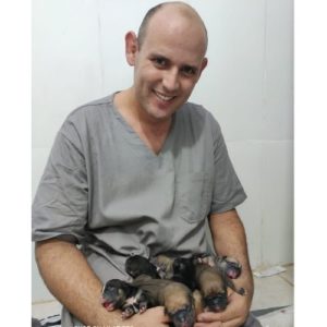 medico veterinario cirurgiao veterinario brasilia baraquet dieb4 300x300