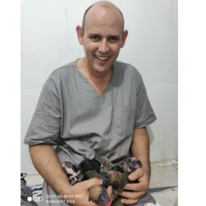 medico veterinario cirurgiao veterinario brasilia baraquet dieb5 300x300