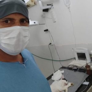 medico veterinario cirurgiao veterinario brasilia baraquet dieb6 300x300