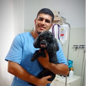 medico veterinario cirurgiao veterinario sao paulo vanderlei watanabe 300x300