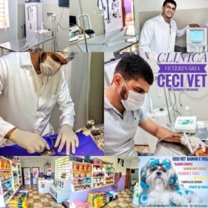 medico veterinario cirurgiao veterinario sao paulo vanderlei watanabe3 300x300