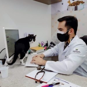 medico veterinario clinico veterinario de felinos manaus fabio aguiar10 300x300