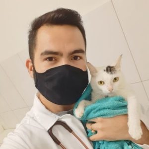 medico veterinario clinico veterinario de felinos manaus fabio aguiar13 300x300
