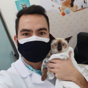medico veterinario clinico veterinario de felinos manaus fabio aguiar6 300x300