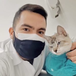 medico veterinario clinico veterinario de felinos manaus fabio aguiar8 300x300