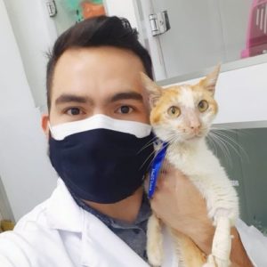 medico veterinario clinico veterinario de felinos manaus fabio aguiar9 300x300