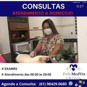 veterinaria brasilia polyanne ferreira e fonseca01 1 300x300