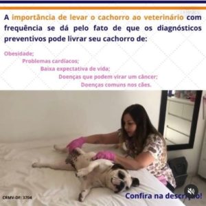 veterinaria brasilia polyanne ferreira e fonseca05 300x300
