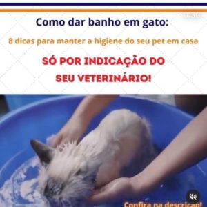 veterinaria brasilia polyanne ferreira e fonseca06 300x300
