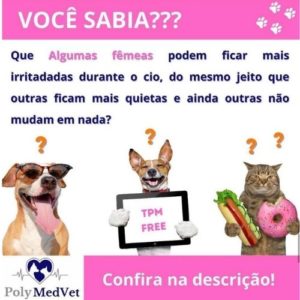 veterinaria brasilia polyanne ferreira e fonseca08 300x300