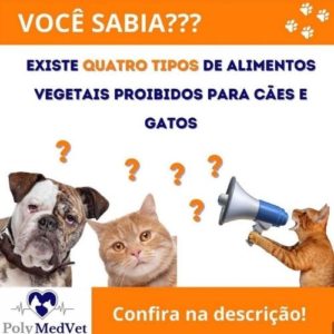 veterinaria brasilia polyanne ferreira e fonseca11 300x300