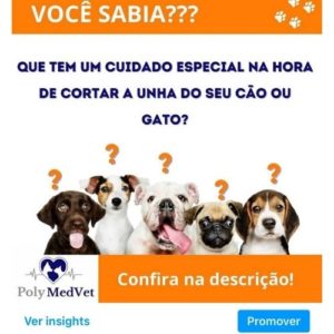 veterinaria brasilia polyanne ferreira e fonseca12 300x300