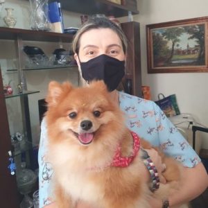 clinica geral veterinaria sao paulo marcelle boldini cachorro 300x300